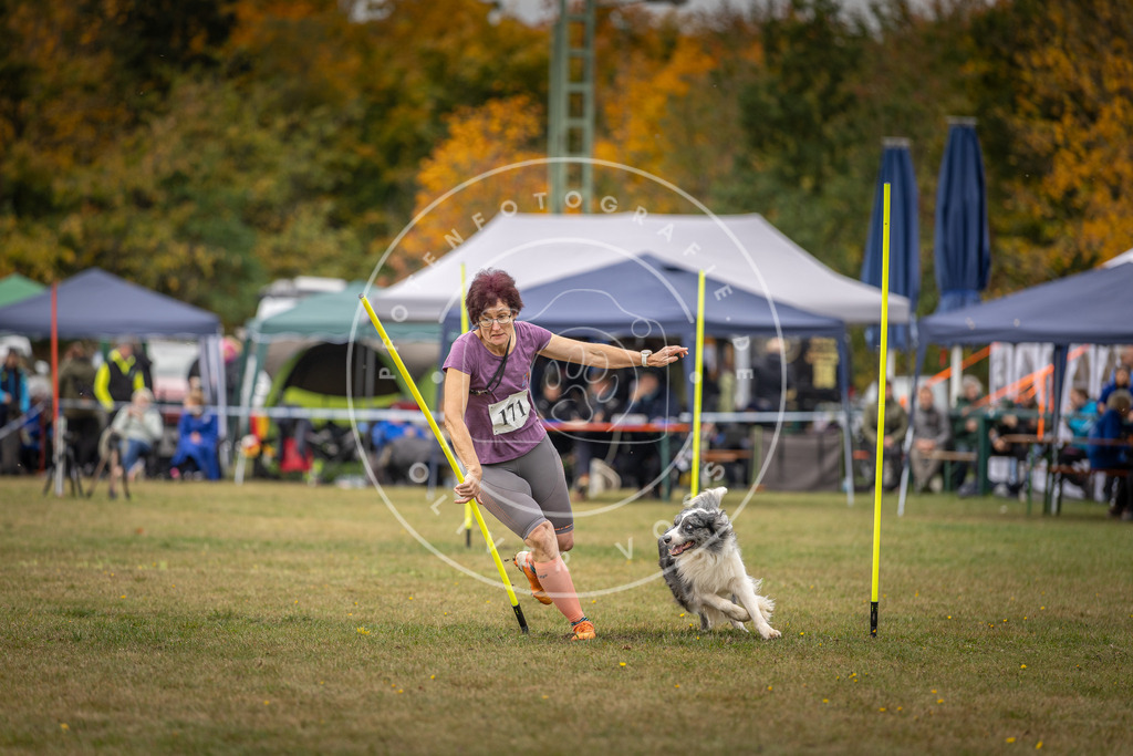 Pfotenfotografie_DV3A5956 | Hundefotografie, Tierfotograf, Pfotenfotografie, Fotoshooting Hund, Hunde Portrait, Hundesport, Hundeportraits, Heideshooting, Hunde, Sportfotograf, Hundefotograf, Turnierhundsport, THS,  - Realisiert mit Pictrs.com