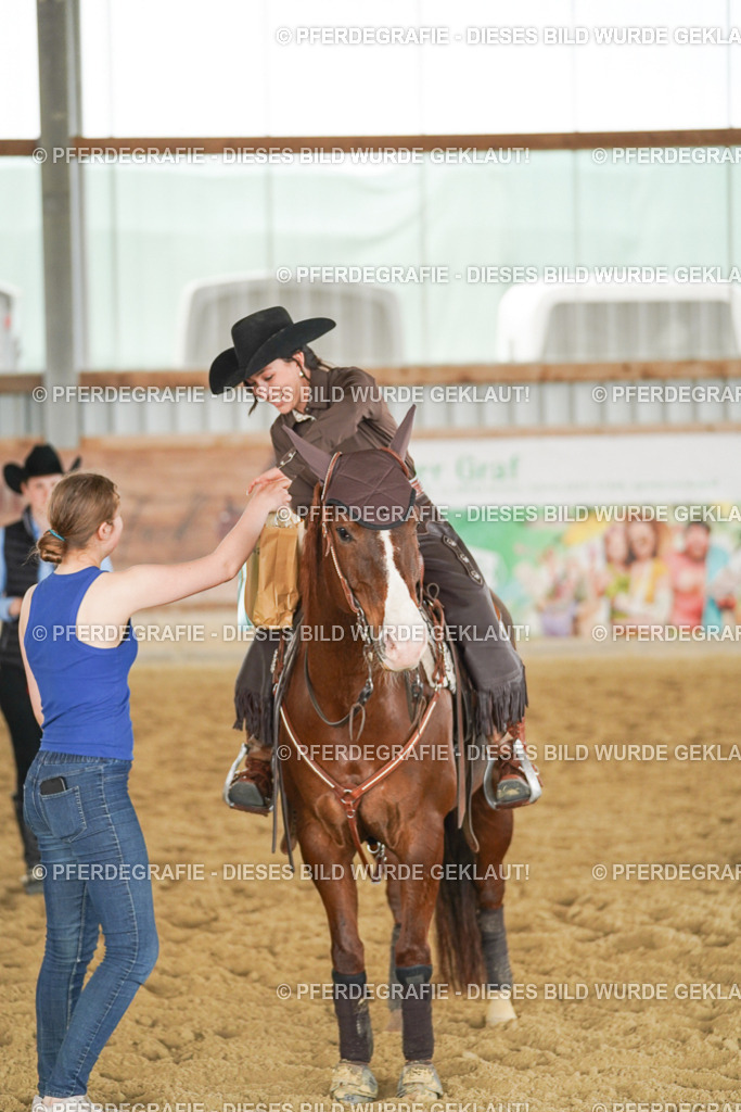 DSC05142 | Pferdegrafie