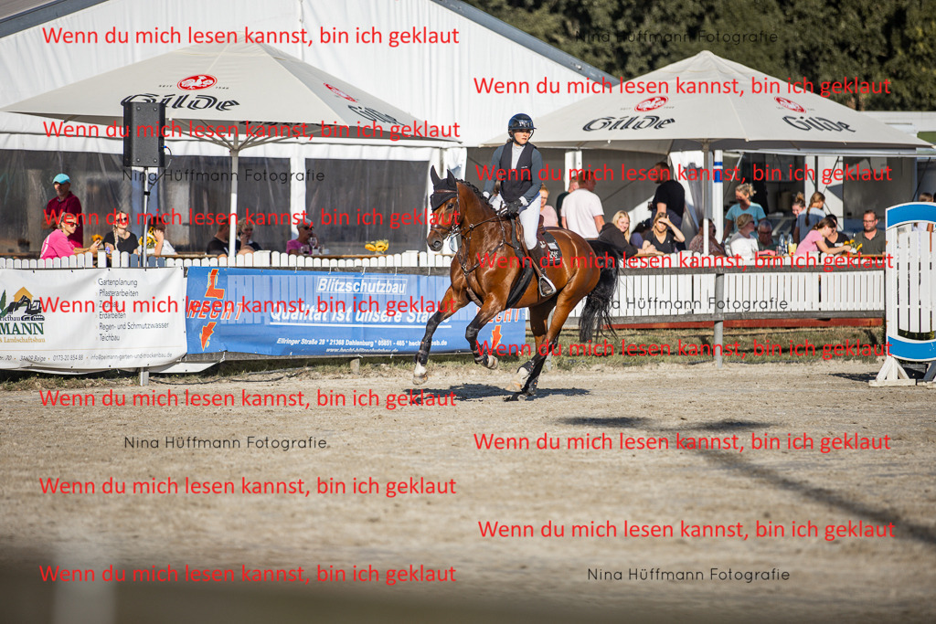 BK1A7817 | Turnierbilder Turnierfotos Nina Hüffmann Turnierfotografie Pferdefotografie Tierzeichnung Haustierzeichnung Pferdezeichnung Hundezeichnung Videograf  - Realisiert mit Pictrs.com