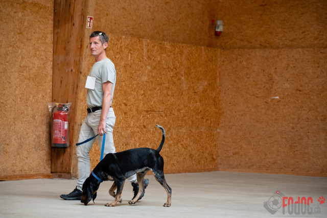Expo Hunde CAC 2023 Escholznatt | Expo SLC/CCC/CSS (CAC) in Escholzmatt. 03.06.2023 Foto: Leo Wyden