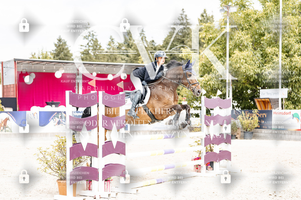 CK909281 | Turnierfotografie Pferdefotografie Trier Rheinland-Pfalz Pferdesport Reitsport Tierfotografie Sportfotografie Pferdevideo Pferdevideografie Equestrianvideography equestrianphotography  - Realisiert mit Pictrs.com