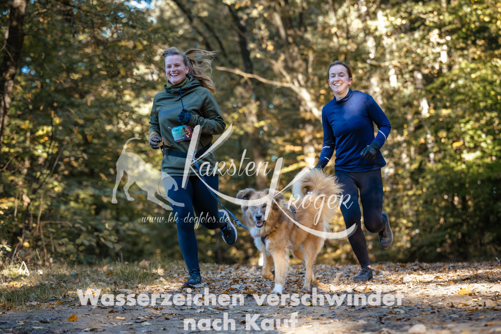 1027_ZZ99995 | kk-dogfotos