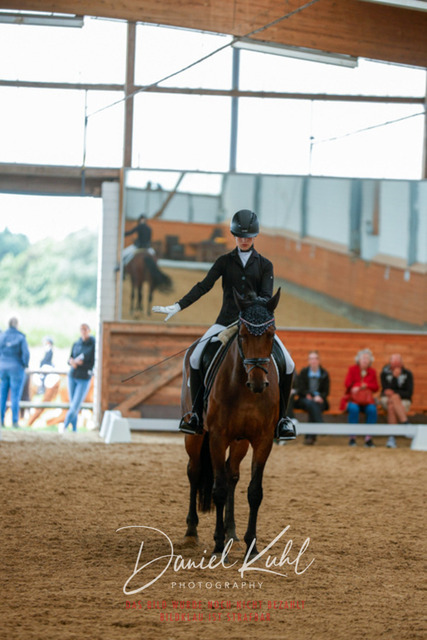 _62_6024 | Turniersportfotografie; Pferdefotografie; Dressurfotografie