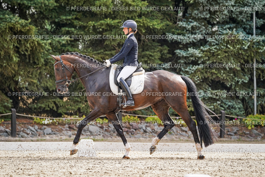 DSC07644 | Pferdegrafie