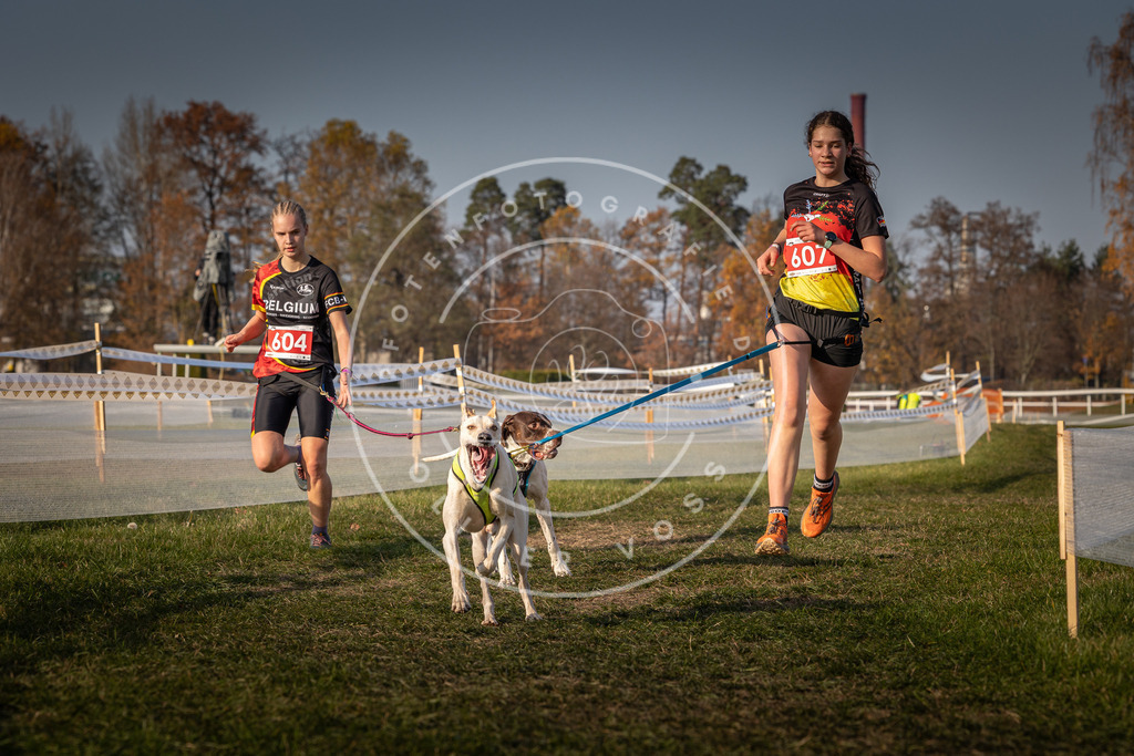 CaniXpix_0L8A0101 | Hundefotografie, Tierfotograf, Pfotenfotografie, Fotoshooting Hund, Hunde Portrait, Hundesport, Hundeportraits, Heideshooting, Hunde, Sportfotograf, Hundefotograf, Turnierhundsport, THS,  - Realisiert mit Pictrs.com