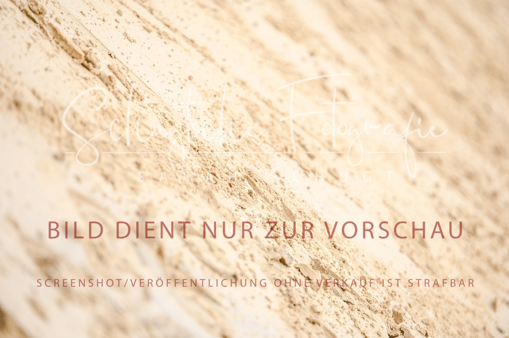 Schugtsche-Aluta25-42.EDressur -133 | Schugtsche Fotografie - Realisiert mit Pictrs.com