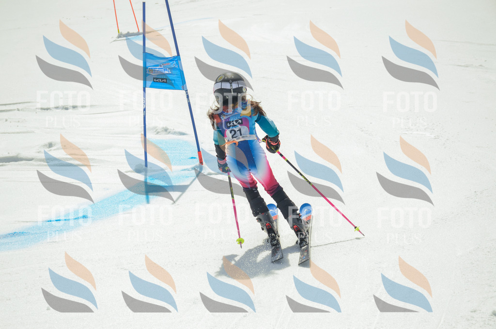 _ELE4743 | holidayphoto