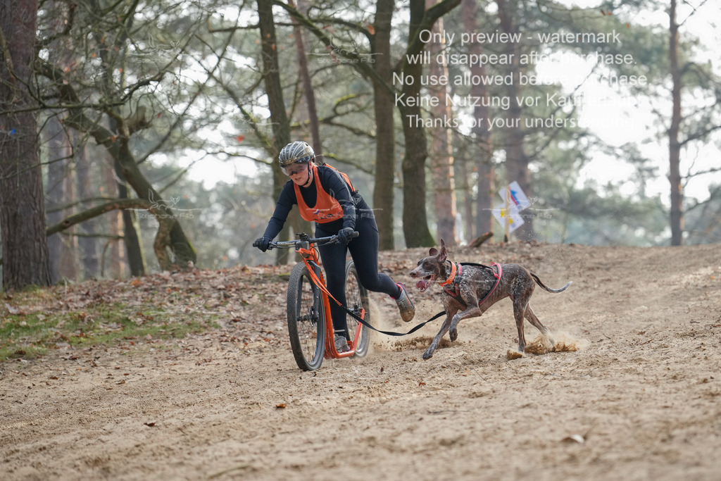 Scooter2-15 | stephaniefillaphotographie - Realisiert mit Pictrs.com