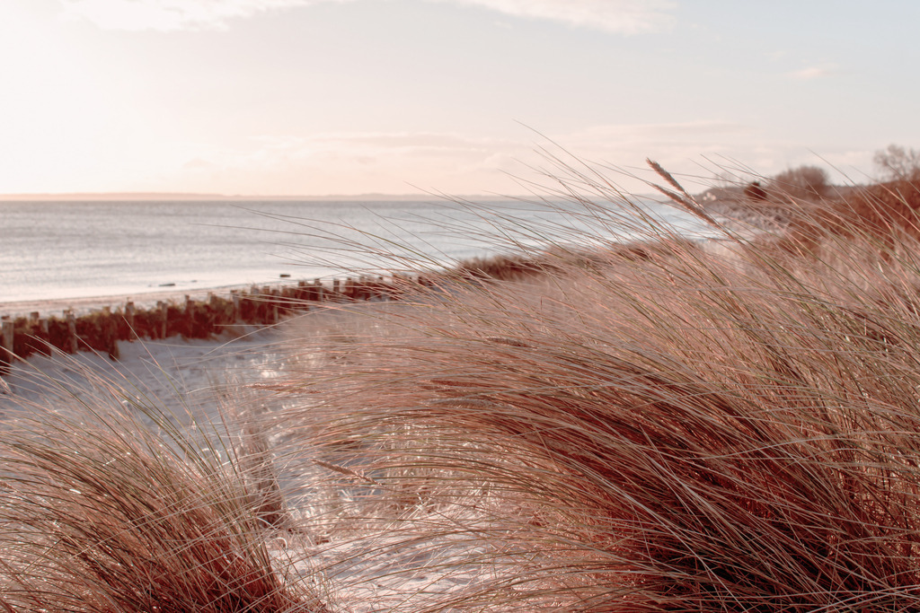 Wandbild: Strandhafer am Sandstrand im Morgenrot | Dieses Wandbild zeigt eine magische Morgenstimmung am Meer. Im Vordergrund befindet sich Strandhafer der vom Morgenrot angeleuchtet wird. Auch der Strand, das Meer und der Himmel leuchten in einem dezenten Rotton. Holen Sie sich diese schöne maritime Morgenstimmung auf Leinwand, Aluminium-Platte oder als Glasbild. Ideal fürs Wohnzimmer, Schlafzimmer, Küche, den Arbeitsplatz oder die Ferienwohnung. Die Wandbilder werden individuell für Sie in vielen Abmessungen produziert. Daher passen die Ostseekult Wandbilder immer perfekt an Ihre Wände. - Realisiert mit Pictrs.com