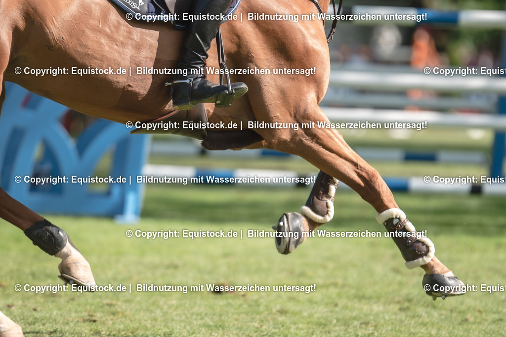 20230527_14_CSI4_Lotto-Hessen-Preis_0081 | equistock