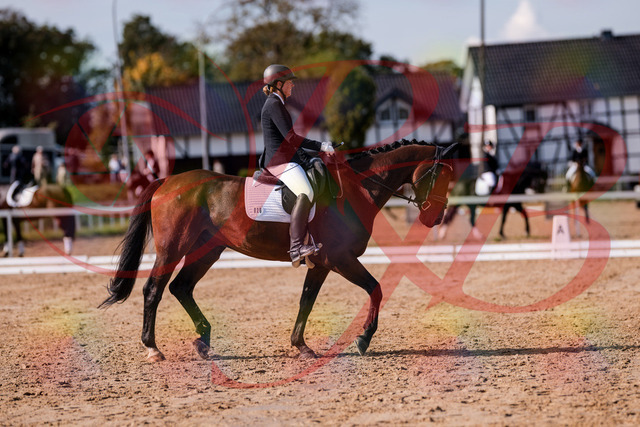 2026_10_03_Siefer-Hof_130220_Z81_56197760 | Professionelle Reitsport-, Turnier- und Eventfotografie von Robert Broda. Galerien mit ausgewählten und bearbeiteten Bildern direkt online ansehen und bestellen.