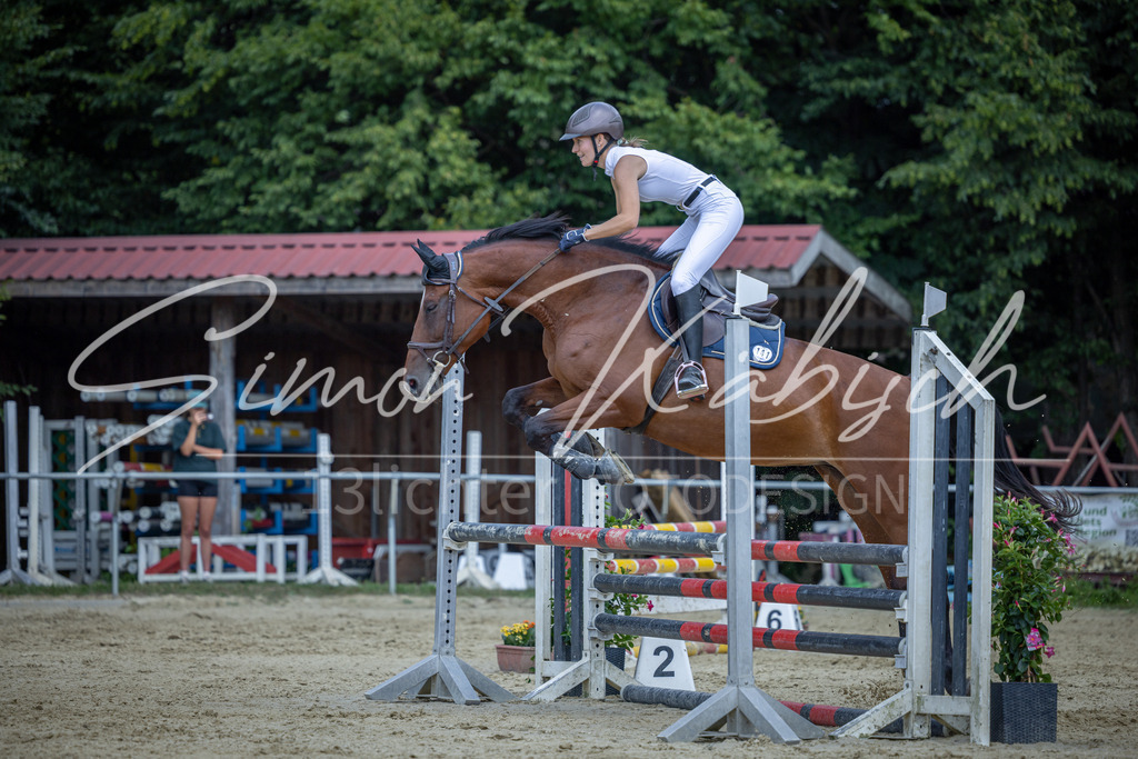 20260704-_3LI0003 | Tierfotografie Pferde, Hunde, Katzen, Haustiere.
Turnierfotografie Reitturniere, Reiten, Springreiten, Dressur in Hanau, dem Main-Kinzig-Kreis und dem Rhein-Main- Gebiet um Frankfurt
