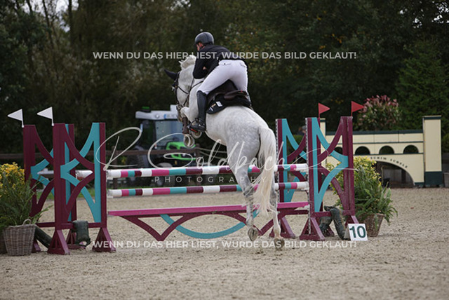 1J2A1518Klas-Kristoff Kudlinski_ Murphy me BE_ Kn758_ Havekost | Foto- und Videografie für alles rund ums Pferd. Hochwertige Bilder und Videos vom Spring- und Dressurreiten, Voltigieren & mehr. Jetzt aktuelle Veranstaltungen und Preise im Shop ansehen. - Realisiert mit Pictrs.com