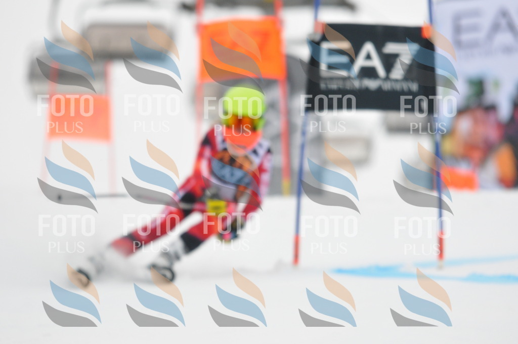 DSC_7334 | holidayphoto