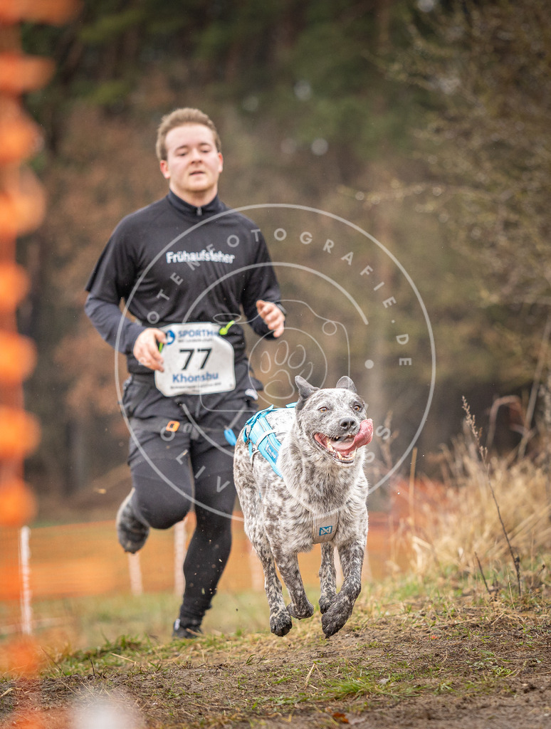 DV3A0280 | Hundefotografie, Tierfotograf, Pfotenfotografie, Fotoshooting Hund, Hunde Portrait, Hundesport, Hundeportraits, Heideshooting, Hunde, Sportfotograf, Hundefotograf, Turnierhundsport, THS,  - Realisiert mit Pictrs.com