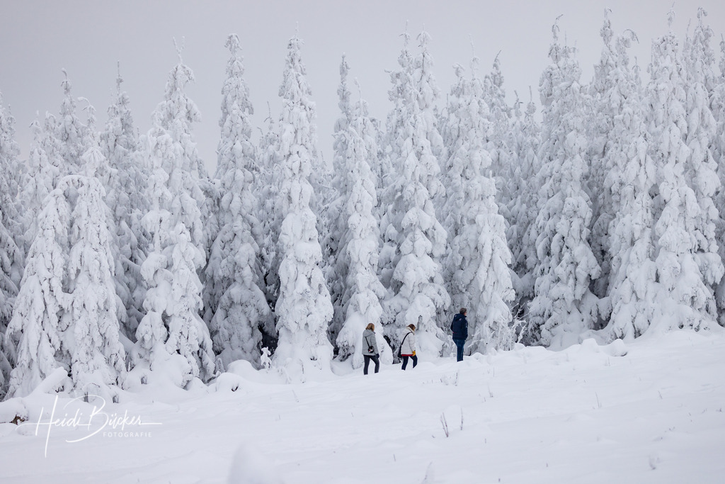 Winterlandschaft mit verschneiten Bäumen | Wanderer vor schneebedeckten Tannen auf dem Kahlen Asten bei Winterberg - Realisiert mit Pictrs.com
