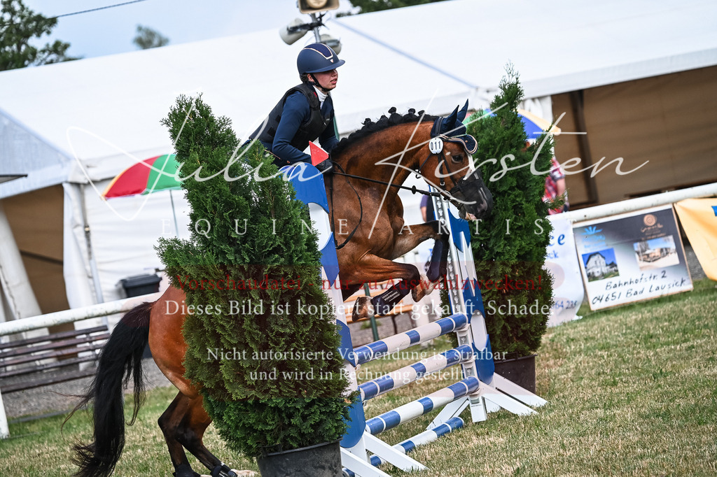 DSC_8211 | Pferde- und Turnierfotografie in Westsachsen. Pferdeportraits, Auftragszeichnungen und intuitive Kunst.