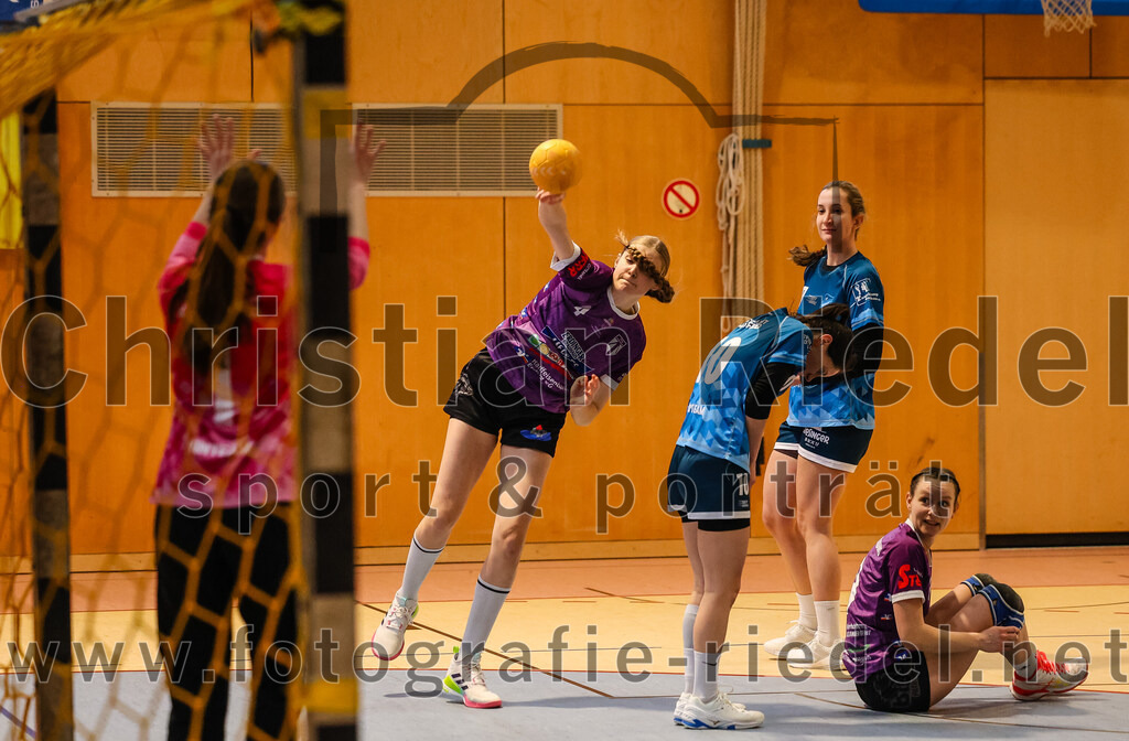 2024-03-09_083_SpVgg_Altenerding_gegen_Eintracht_Dachau-Karlsfeld | Erding, Deutschland, 09.03.2024:
Handball, Bezirksoberliga Frauen Altbayern 2023 / 2024, 17. Spieltag, SpVgg Altenerding gegen Eintracht Dachau-Karlsfeld, Endergebnis: 26:25

Torfrau Sara Hohmann (TSV Eintracht Karlsfeld, #1), Grit Kschischow (SpVgg Altenerding, #4), Lisa Brugger (TSV Eintracht Karlsfeld, #10), Julia Kranich (SpVgg Altenerding, #9)

Foto: Christian Riedel / fotografie-riedel.net
