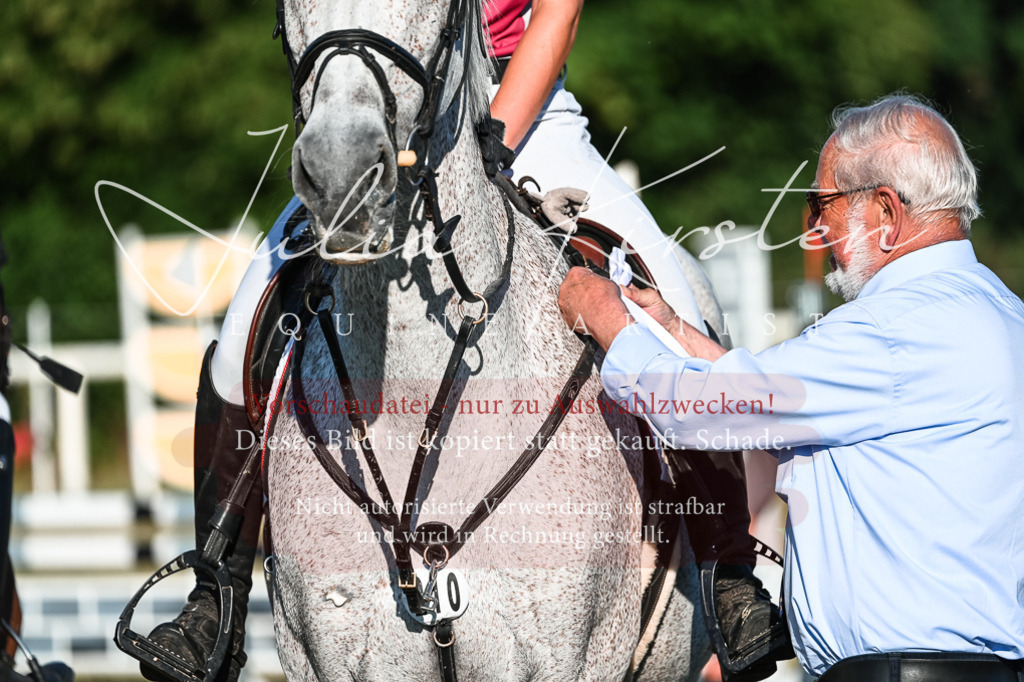 DSC_3191 | Pferde- und Turnierfotografie in Westsachsen. Pferdeportraits, Auftragszeichnungen und intuitive Kunst.