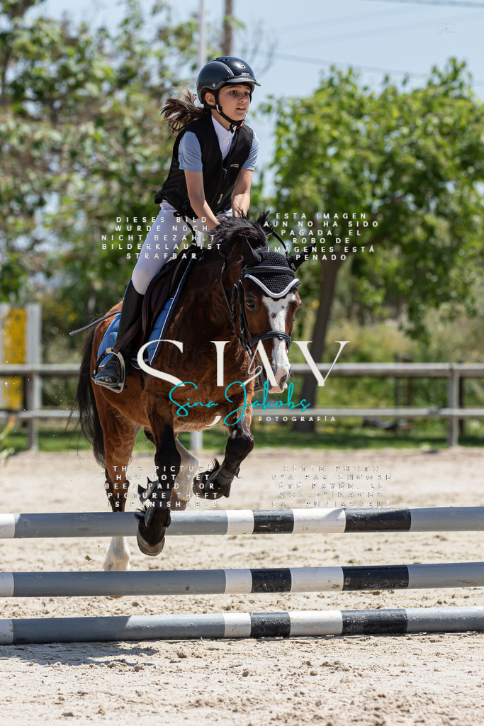 IMG_0229 | s-jay-photography - Realisiert mit Pictrs.com