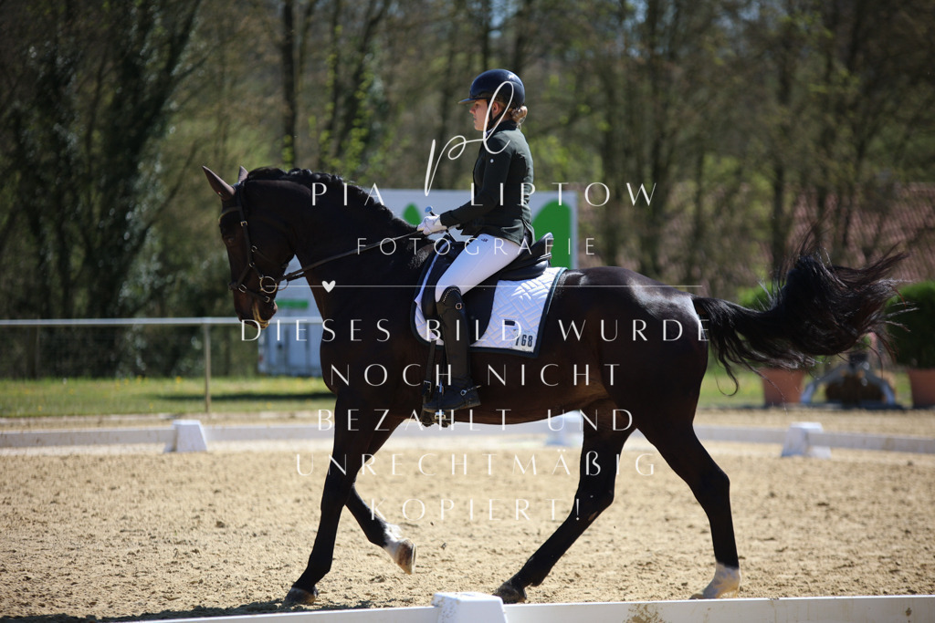 IMGT7749 | pl-fotografie