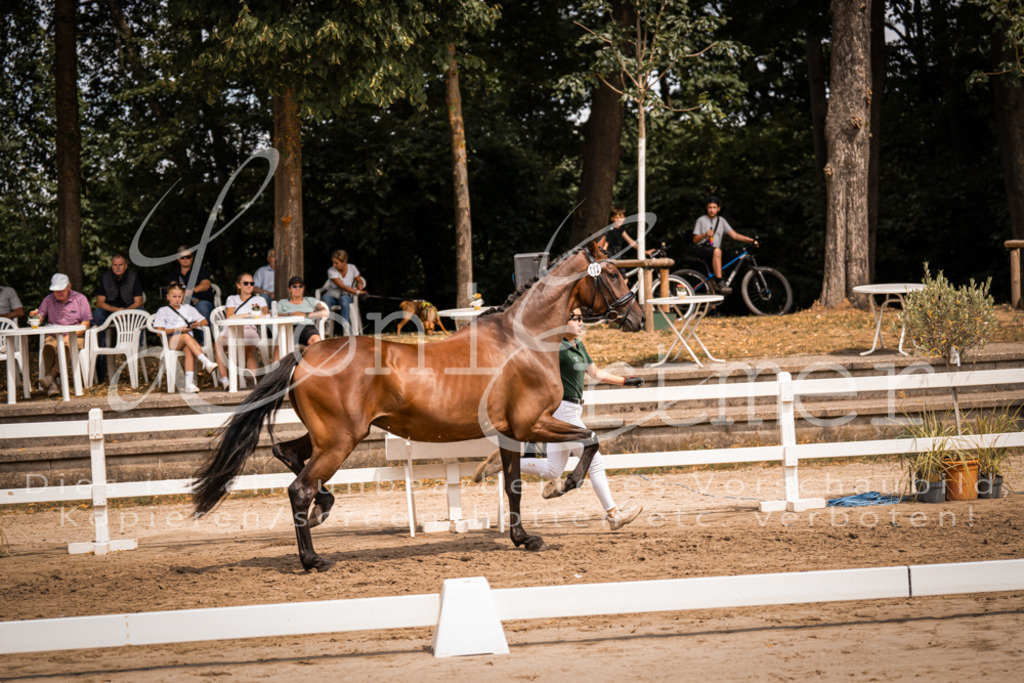 3.Fr00100 | Leoni Ertmer Photography - Realisiert mit Pictrs.com