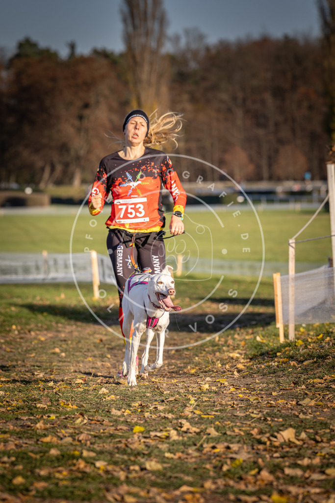 CaniXpix_DV3A2499 | Hundefotografie, Tierfotograf, Pfotenfotografie, Fotoshooting Hund, Hunde Portrait, Hundesport, Hundeportraits, Heideshooting, Hunde, Sportfotograf, Hundefotograf, Turnierhundsport, THS,  - Realisiert mit Pictrs.com