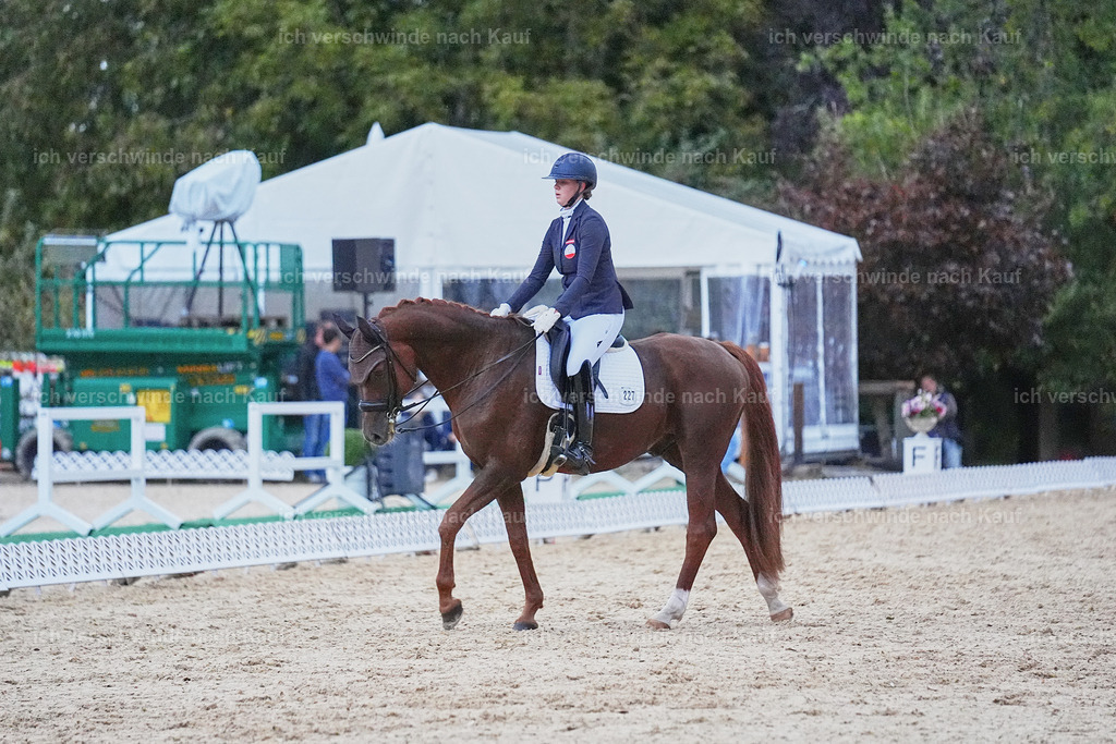 04_2-227-Dressur M__ -Marixx-3097 | working equitationturnier fotograf videograf stoibphotography marixx film working equitation deutschland reitsport turnierfotografie eventfotografie equestrian events