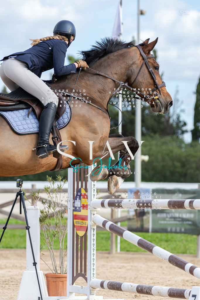 IMG_2890 | s-jay-photography - Realisiert mit Pictrs.com