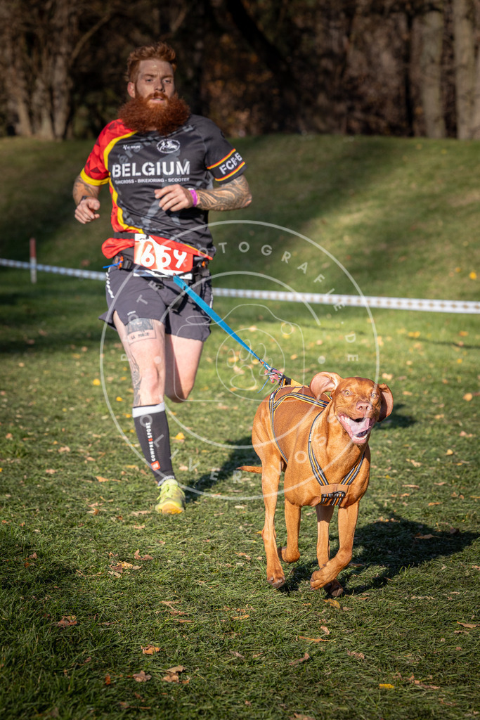 CaniXpix_0L8A9151 | Hundefotografie, Tierfotograf, Pfotenfotografie, Fotoshooting Hund, Hunde Portrait, Hundesport, Hundeportraits, Heideshooting, Hunde, Sportfotograf, Hundefotograf, Turnierhundsport, THS,  - Realisiert mit Pictrs.com