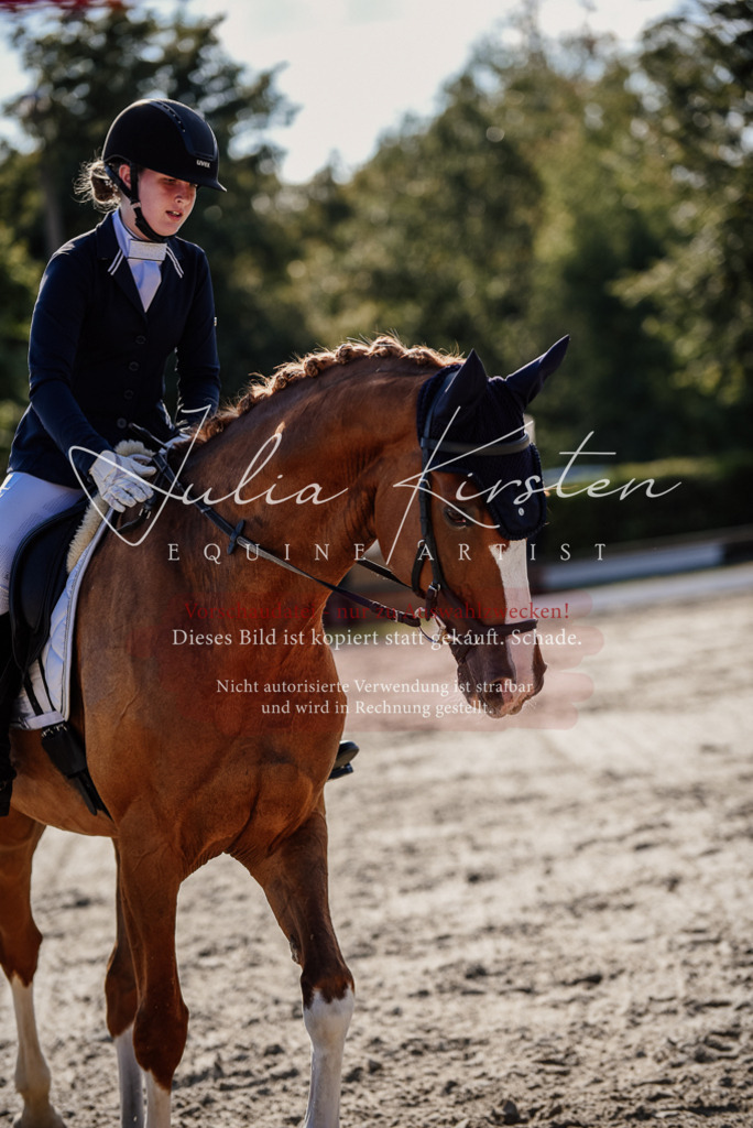 DSC_0539 | Pferde- und Turnierfotografie in Westsachsen. Pferdeportraits, Auftragszeichnungen und intuitive Kunst.