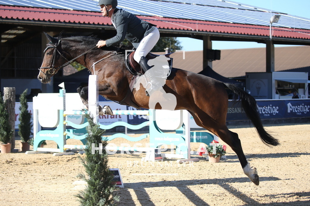 DL2Q3793 | Willkommen bei Brunnmayr - Design & Fotografie – Ihrem Spezialisten für Reitturniere und Pferdeveranstaltungen in Oberösterreich, Salzburg und Bayern! Seit über 17 Jahren sind wir leidenschaftlich dabei.