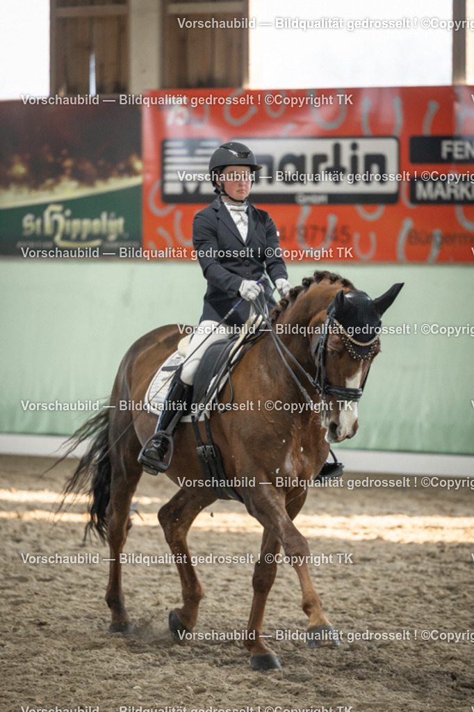 _D5A3120 | Emotionale Pferde- & People-Fotografie rund um Heidelberg, Leimen & Umgebung. Natürliche Fotos von Pferd, Mensch & Familie. Jetzt Termin sichern!