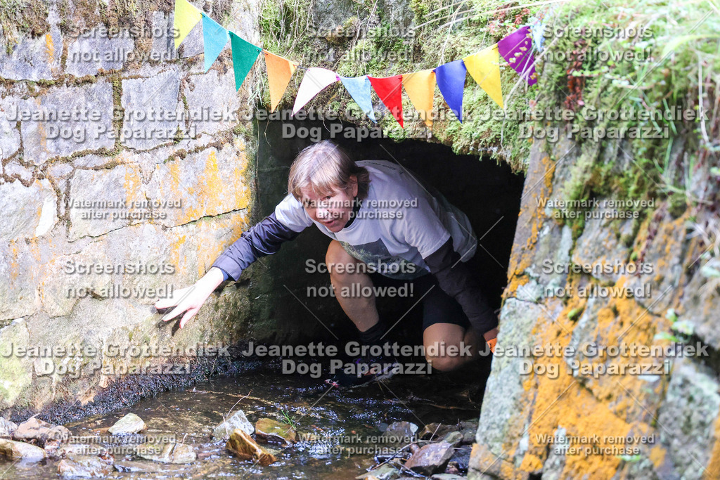 Dog Paparazzi -  TH 26-26 | Dog Paparazzi Jeanette Grottendiek Fotografie & Videografie - Realisiert mit Pictrs.com
