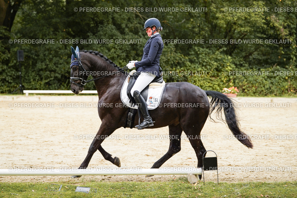 DSC01110 | Pferdegrafie