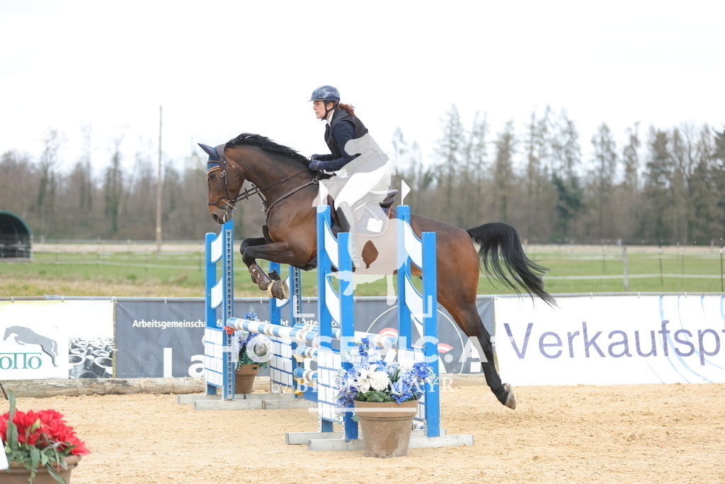 0P6A7950 | Willkommen bei Brunnmayr - Design & Fotografie – Ihrem Spezialisten für Reitturniere und Pferdeveranstaltungen in Oberösterreich, Salzburg und Bayern! Seit über 17 Jahren sind wir leidenschaftlich dabei.