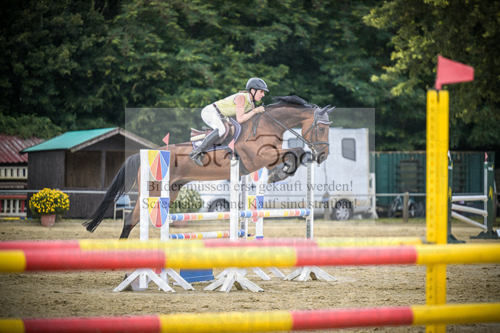 DOS_9695 | Entdecke hochwertige Reitturnierfotos von Foto Oger. Professionell, emotional und authentisch – jetzt Lieblingsmomente im Shop bestellen.Deutschlandweite Turnierfotografie. - Realisiert mit Pictrs.com