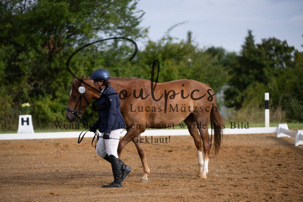 A7V03765 | Pferdefotograf