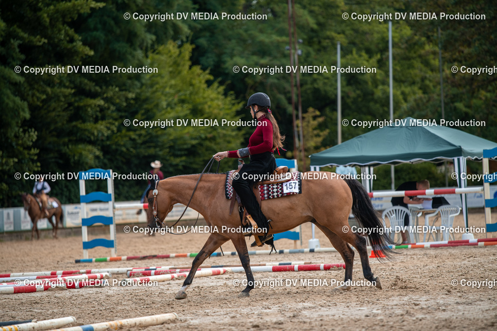 ZS3_9294 | dv-media-shop - Realisiert mit Pictrs.com