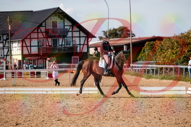 2026_10_03_Siefer-Hof_133527_Z63_95213745 | Professionelle Reitsport-, Turnier- und Eventfotografie von Robert Broda. Galerien mit ausgewählten und bearbeiteten Bildern direkt online ansehen und bestellen.