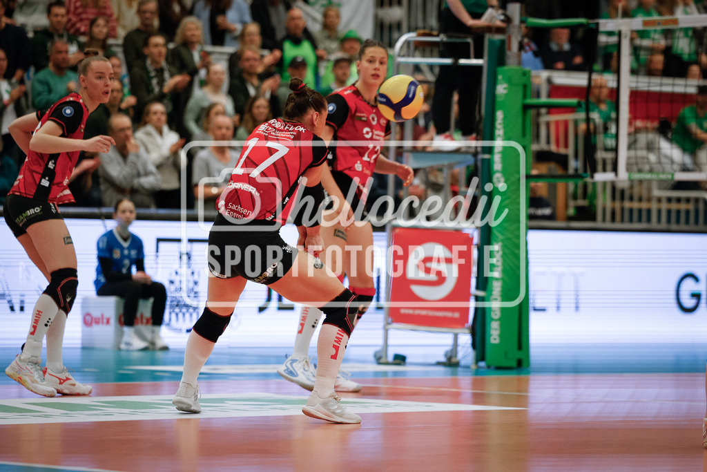 Volleyball I Frauen I Saison 2025-2026 I Bundesliga I Playoff-Viertelfinale 2 I USC Münster - Dresdner SC-10 | Lorena Lorber Fijok (17, Dresdner SC) nimmt den Ball nach einem Aufschlag von USC Münster an.  - Realisiert mit Pictrs.com