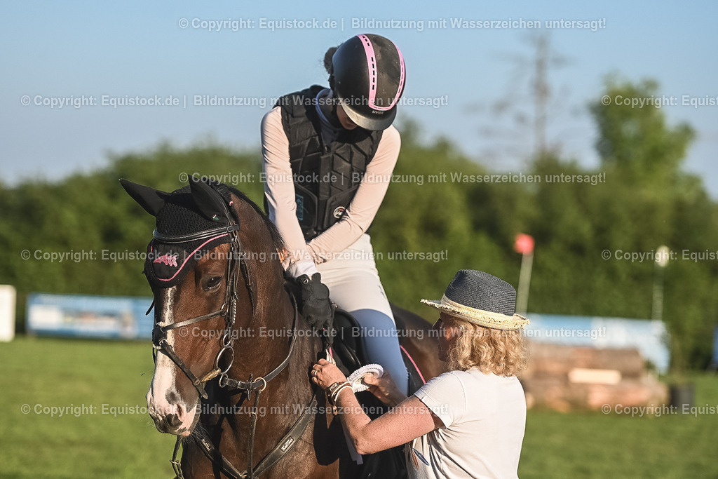 20230909_20_Leonberger-Derby_0262 | equistock