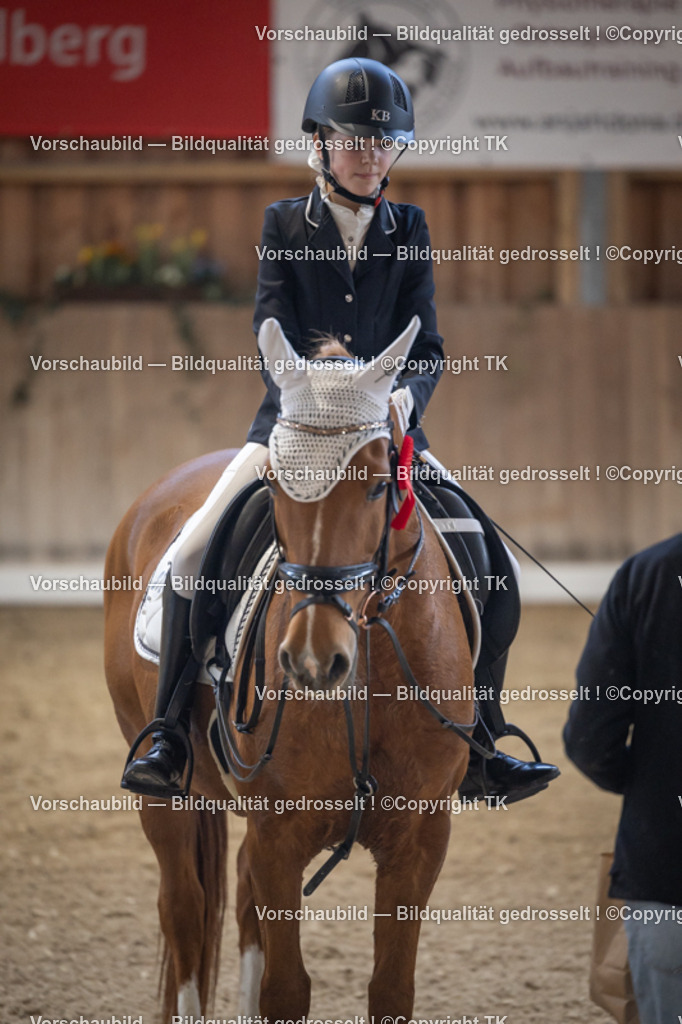 _D5A5712 | Emotionale Pferde- & People-Fotografie rund um Heidelberg, Leimen & Umgebung. Natürliche Fotos von Pferd, Mensch & Familie. Jetzt Termin sichern!