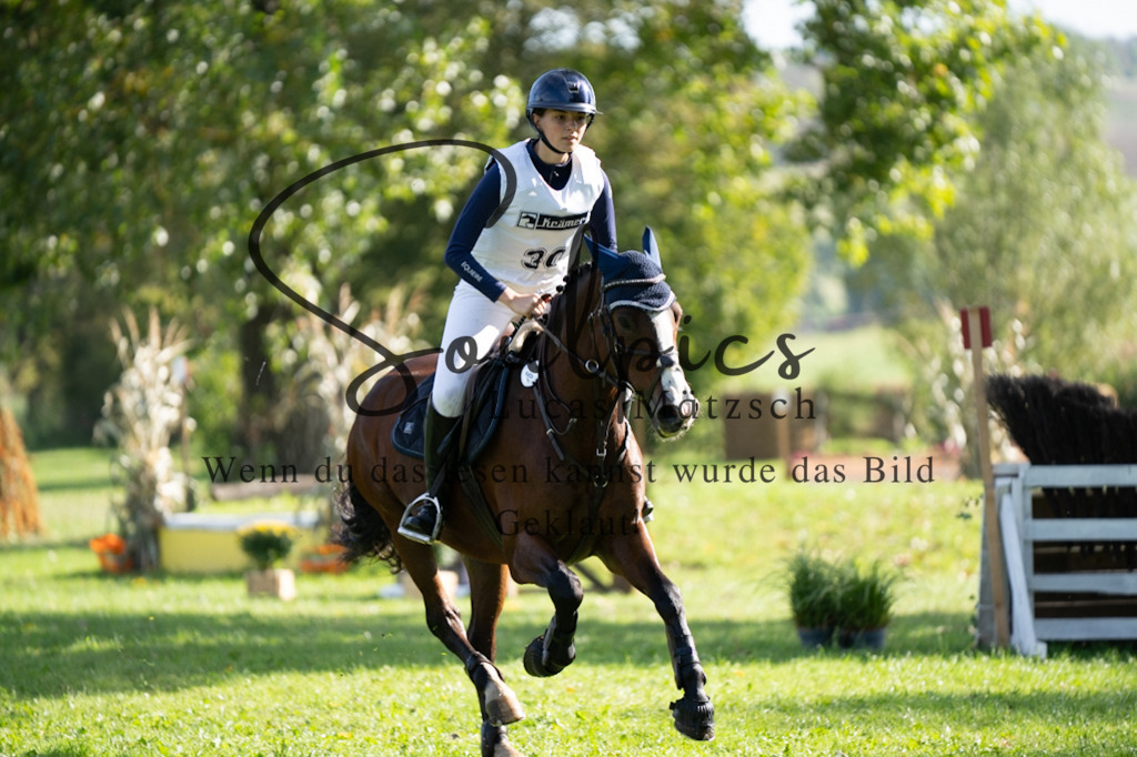 A7V03272 | Pferdefotograf