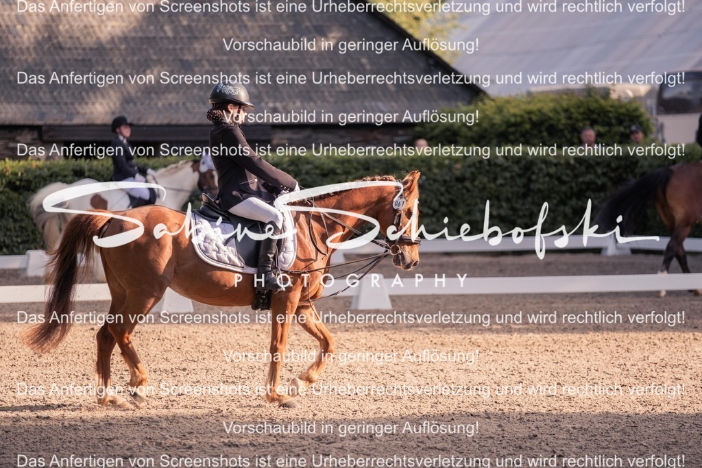 2025_05_31_DSCF2647 | People- und Tierfotografie, Imageaufnahmen, Veranstaltungsfotografie und Wandbilder aus der Natur ★ Made in Germany ✔️ Druck + Downloads ✔️ Naturfotografie in Top Qualität ★ schneller Versand, weltweite Lieferung! - Realisiert mit Pictrs.com