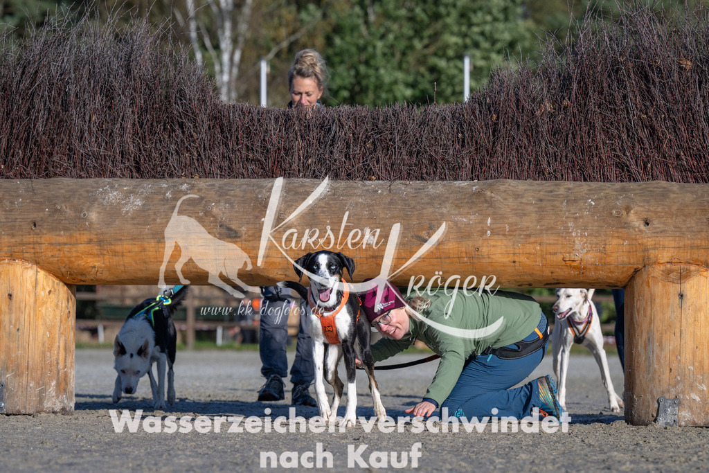 1045-_ZZ92407 | kk-dogfotos