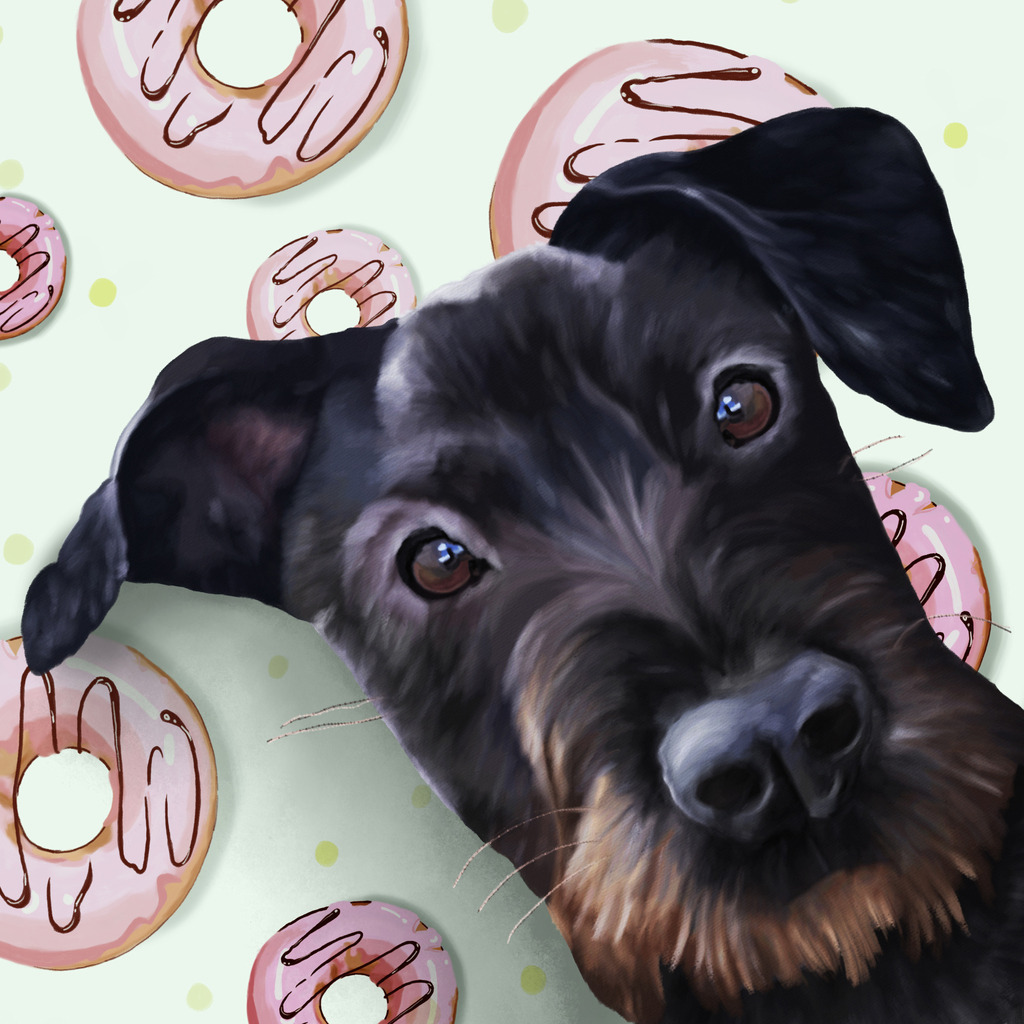 Mix_schwarz | Illustrationen, digitalpainting, animals, dogs, hunde, art, Kunst, Illustrationsart, Bielefeld, Germany - Realisiert mit Pictrs.com