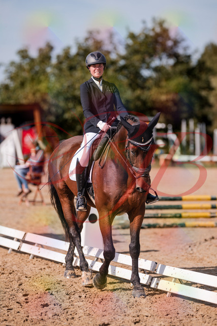 2026_10_03_Siefer-Hof_125939_Z81_50897230 | Professionelle Reitsport-, Turnier- und Eventfotografie von Robert Broda. Galerien mit ausgewählten und bearbeiteten Bildern direkt online ansehen und bestellen.