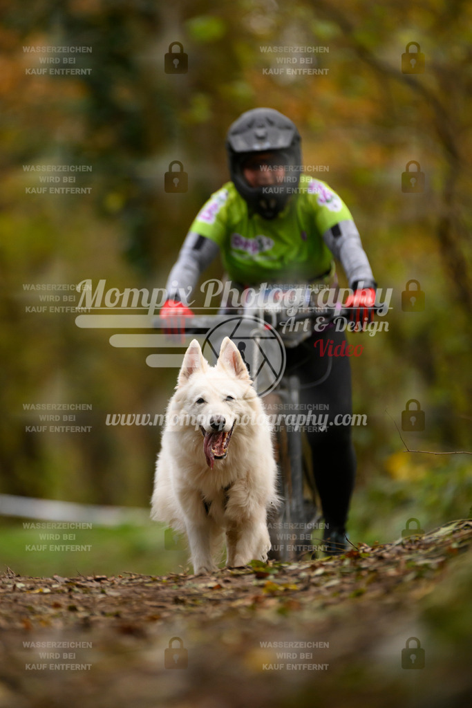 MompixPhotography_Bischwiller24_SA_VTT-83 | PayLife
