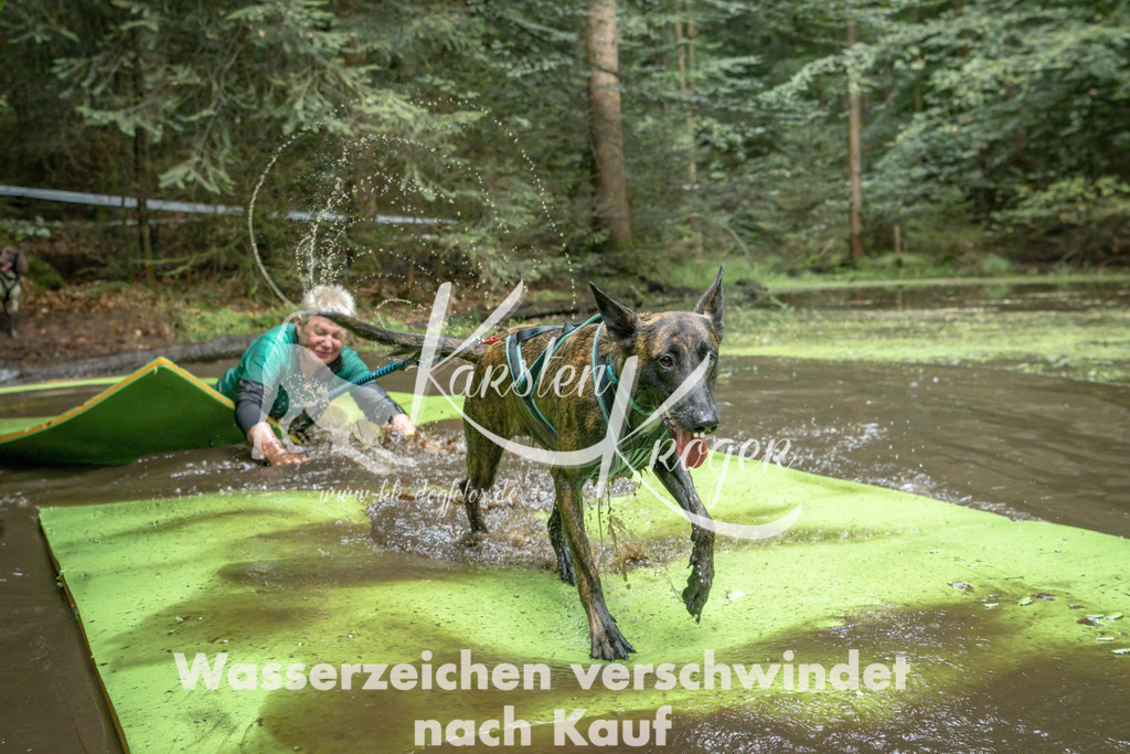 1527_ZZ90716-Bearbeitet | kk-dogfotos